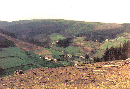 05_25_19750425_nm_Am Buscherberg